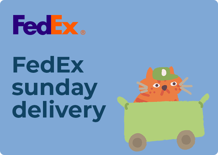 Does Fedex deliver on Sunday
